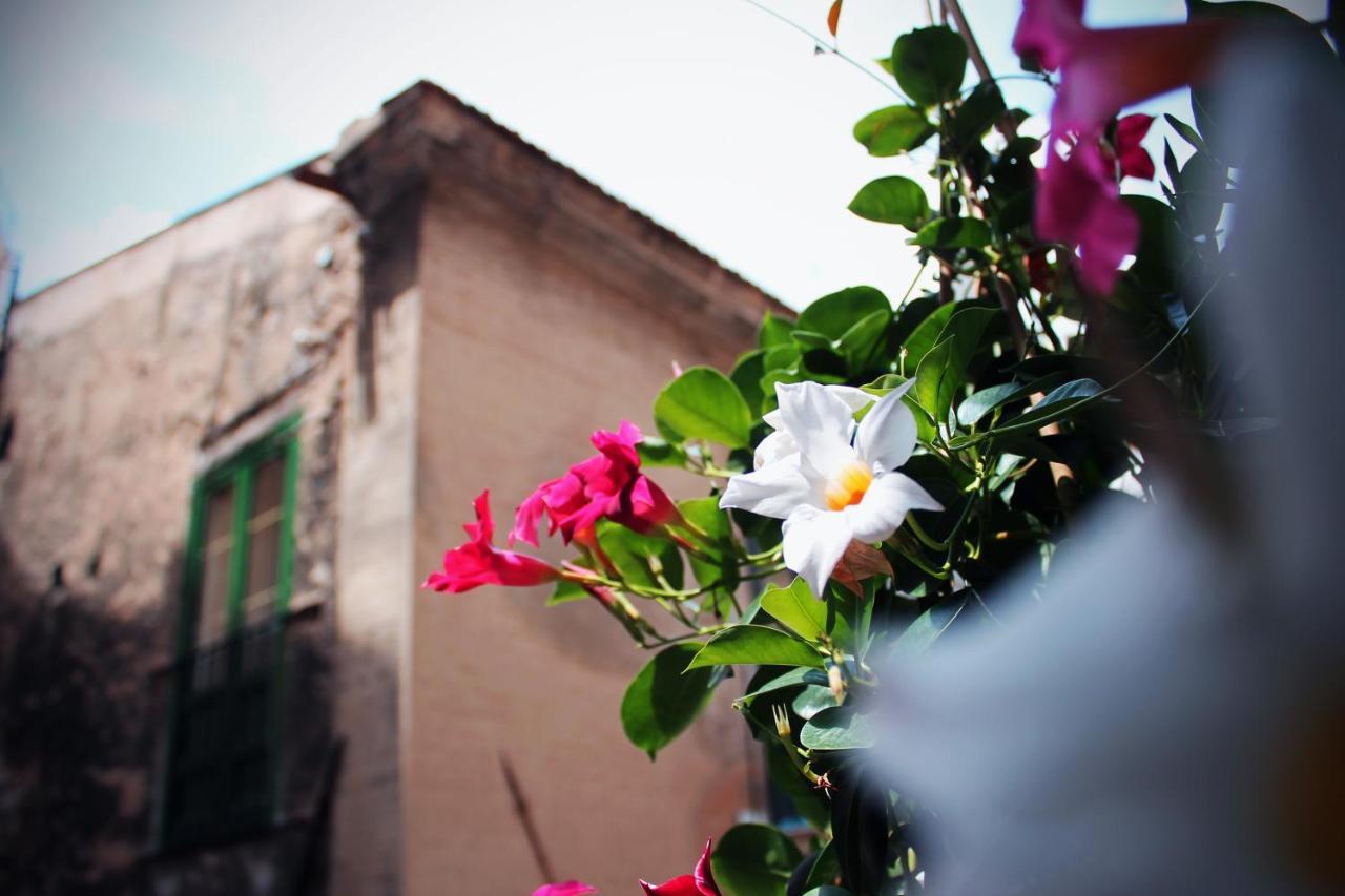 Bed and Breakfast Palazzo Delle Logge Palermo Exterior foto